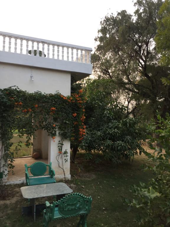 Savista Retreat Hotel Jaipur Buitenkant foto