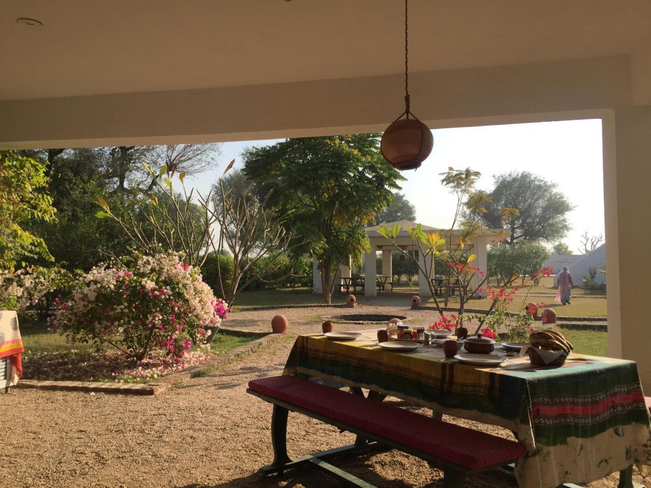 Savista Retreat Hotel Jaipur Buitenkant foto